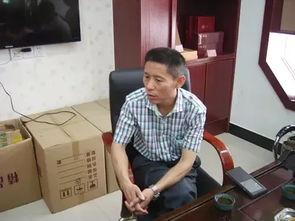 靖安小主来打工,从宫廷到办公室的华丽转身