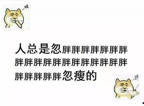 开局直播毒鸡汤差点笑死观众,笑翻观众眼球！