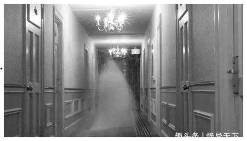 旅馆闹鬼,揭秘旅馆闹鬼之谜